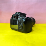 Canon EOS 1300D with EF-S 55-250mm f/4-5.6 IS II Lens